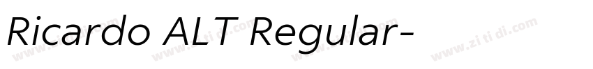 Ricardo ALT Regular字体转换